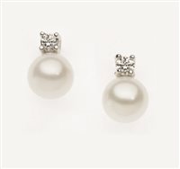 Orecchini Bluamante Donna in Argento Perla BOR145U75